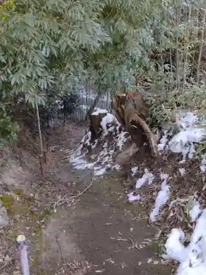 八龍神社(塩ノ貝)(宮城県)