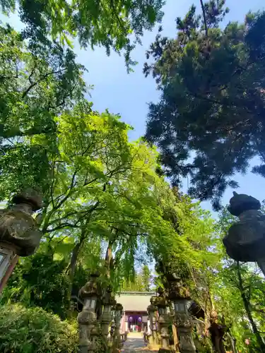 神炊館神社 ⁂奥州須賀川総鎮守⁂(福島県)