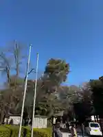 櫻木神社(千葉県)