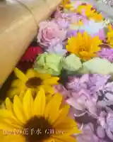 群馬県護国神社(群馬県)
