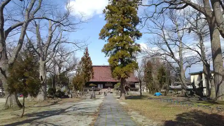 出羽国分寺薬師堂の本殿・本堂