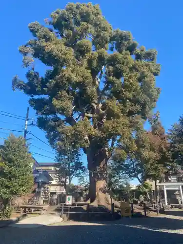 日々神社(神奈川県)