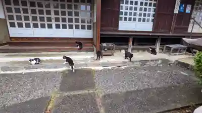 妙雲寺(岐阜県)