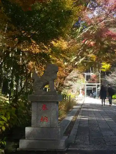 建長寺 半僧坊の狛犬