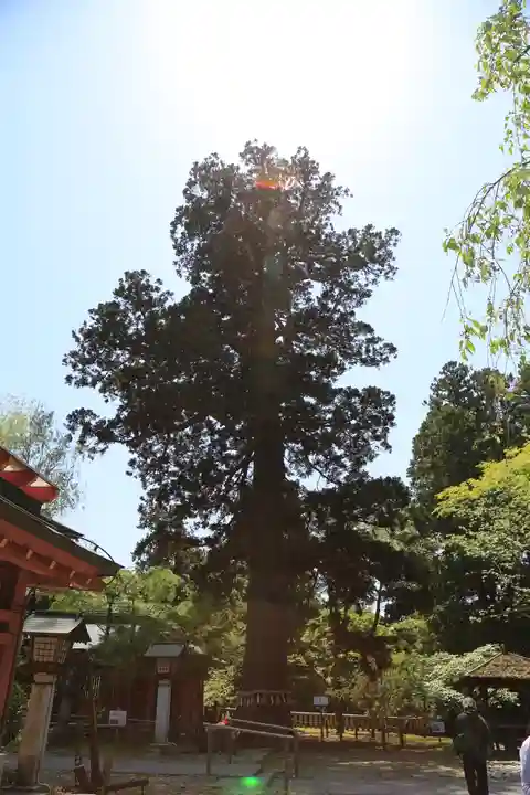志波彦神社・鹽竈神社(宮城県)