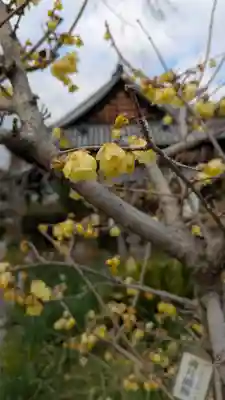惠心院（恵心院）(京都府)