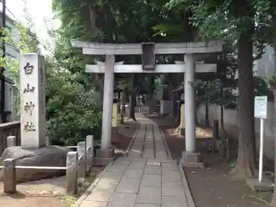 荻窪白山神社の鳥居