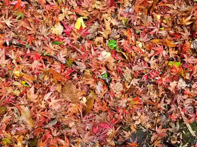 鰐淵寺(島根県)