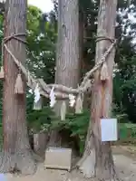 八幡神社の自然