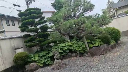 安穏寺(京都府)