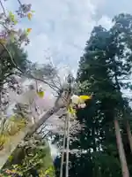 磐椅神社(福島県)