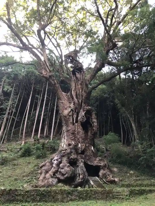 武雄神社(佐賀県)