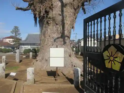 長照寺(埼玉県)