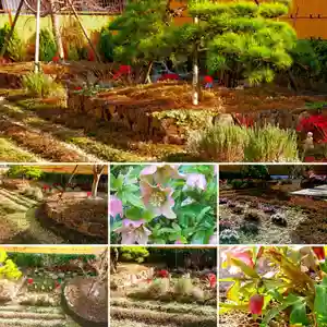 寿量山 速成寺の自然(2021年03月15日(月) 20時50分01秒投稿)