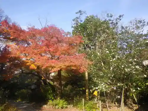安國論寺（安国論寺）の自然
