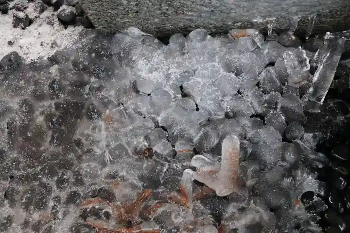 高司神社〜むすびの神の鎮まる社〜の自然