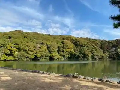 桜ヶ池池宮神社の{uncategorized: "未分類", other: "その他", undefined: "問題あり", building: "その他建物", grave: "お墓", sacred_gate: "鳥居", guardian: "狛犬", statue: "像", buddha: "仏像", history: "歴史", nature: "自然", garden: "庭園", animal: "動物", pagoda: "塔", temizu: "手水舎", mountain_gate: "山門・神門", sanctuary: "本殿・本堂", subordinate: "末社・摂社", art: "芸術", scenery: "景色", jizo: "地蔵", ema: "絵馬", goshuin: "御朱印", omikuji: "おみくじ", items: "授与品その他", amulet: "お守り", goshuincho: "御朱印帳", eats: "食事", festival: "お祭り", votive_dance: "神楽", shichigosan: "七五三参", wedding: "結婚式", experience: "体験その他", initially: "初詣", around: "周辺", anti_infection: "感染症対策"}