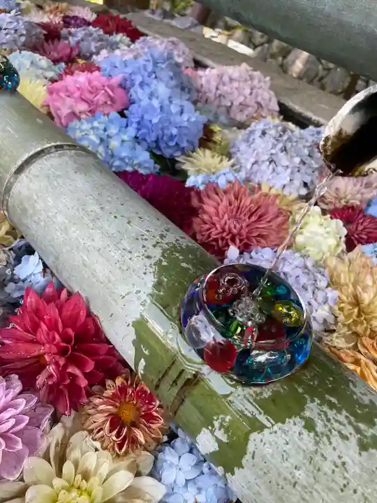 岡寺(龍蓋寺)(奈良県)