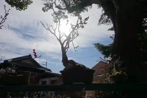 菅原天満宮（菅原神社）の景色