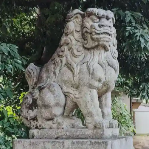 新井天神北野神社の狛犬