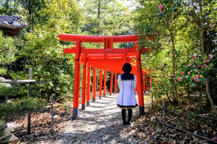 満福寺(三好稲荷閣)の{uncategorized: "未分類", other: "その他", undefined: "問題あり", building: "その他建物", grave: "お墓", sacred_gate: "鳥居", guardian: "狛犬", statue: "像", buddha: "仏像", history: "歴史", nature: "自然", garden: "庭園", animal: "動物", pagoda: "塔", temizu: "手水舎", mountain_gate: "山門・神門", sanctuary: "本殿・本堂", subordinate: "末社・摂社", art: "芸術", scenery: "景色", jizo: "地蔵", ema: "絵馬", goshuin: "御朱印", omikuji: "おみくじ", items: "授与品その他", amulet: "お守り", goshuincho: "御朱印帳", eats: "食事", festival: "お祭り", votive_dance: "神楽", shichigosan: "七五三参", wedding: "結婚式", experience: "体験その他", initially: "初詣", around: "周辺", anti_infection: "感染症対策"}