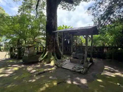 南方神社(鹿児島県)