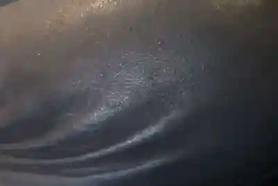 不動院(奈良県)