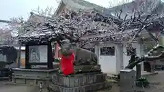 北野天満宮の狛犬