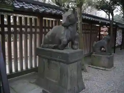 牛嶋神社の狛犬