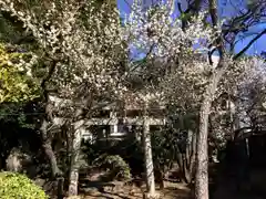 荏原神社の鳥居