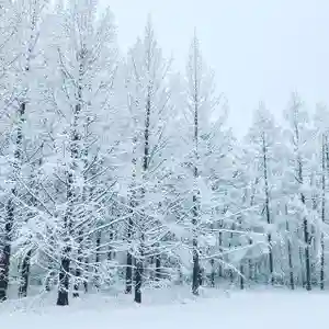 高司神社〜むすびの神の鎮まる社〜の景色(2020年03月30日(月) 15時15分20秒投稿)
