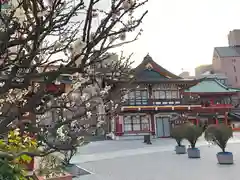 神田神社（神田明神）の建物その他