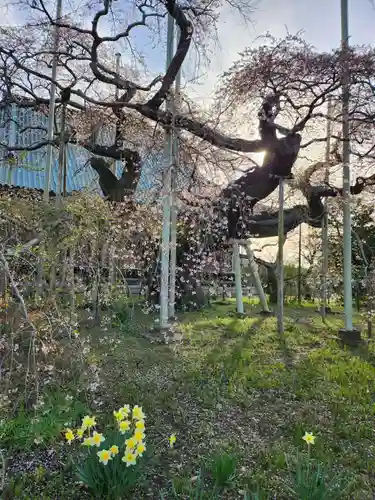 般若院(茨城県)