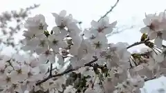 勧修寺(京都府)