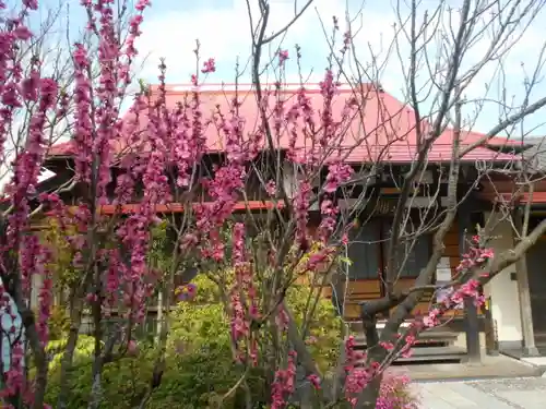 向福寺のその他建物