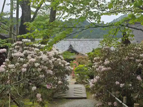 室生寺(奈良県)