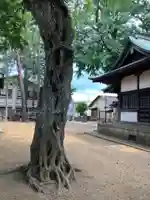 井口八幡神社(東京都)