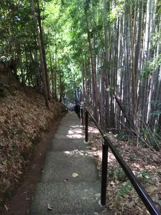 神龍八大龍王神社の自然