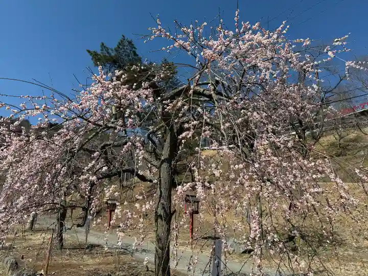 不動寺(埼玉県)