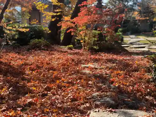 木舟山　順教寺の庭園