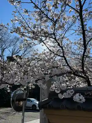 船橋不動尊　寳性寺(東京都)