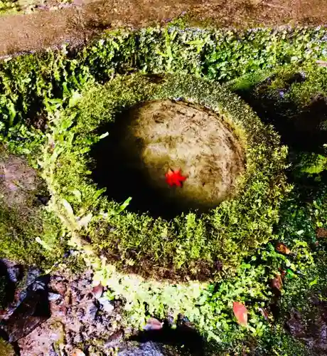 八女津媛神社の手水舎