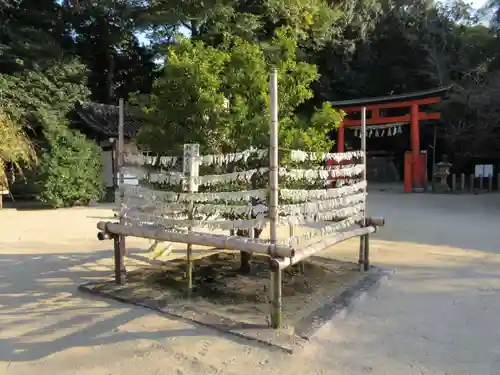 廣瀬大社のおみくじ