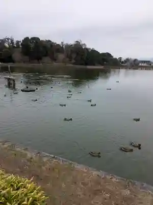 橿原神宮(奈良県)