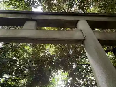渋谷氷川神社(東京都)