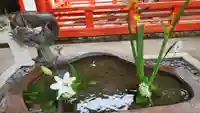 鞍馬寺の手水舎