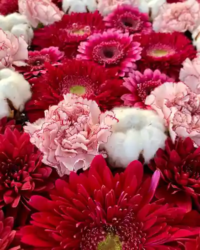 鹿島台神社の自然