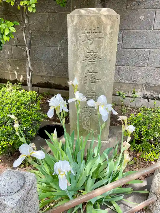 養福寺(東京都)