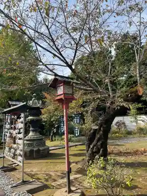 寛永寺開山堂のその他建物