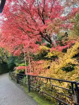 三千院門跡の{uncategorized: "未分類", other: "その他", undefined: "問題あり", building: "その他建物", grave: "お墓", sacred_gate: "鳥居", guardian: "狛犬", statue: "像", buddha: "仏像", history: "歴史", nature: "自然", garden: "庭園", animal: "動物", pagoda: "塔", temizu: "手水舎", mountain_gate: "山門・神門", sanctuary: "本殿・本堂", subordinate: "末社・摂社", art: "芸術", scenery: "景色", jizo: "地蔵", ema: "絵馬", goshuin: "御朱印", omikuji: "おみくじ", items: "授与品その他", amulet: "お守り", goshuincho: "御朱印帳", eats: "食事", festival: "お祭り", votive_dance: "神楽", shichigosan: "七五三参", wedding: "結婚式", experience: "体験その他", initially: "初詣", around: "周辺", anti_infection: "感染症対策"}